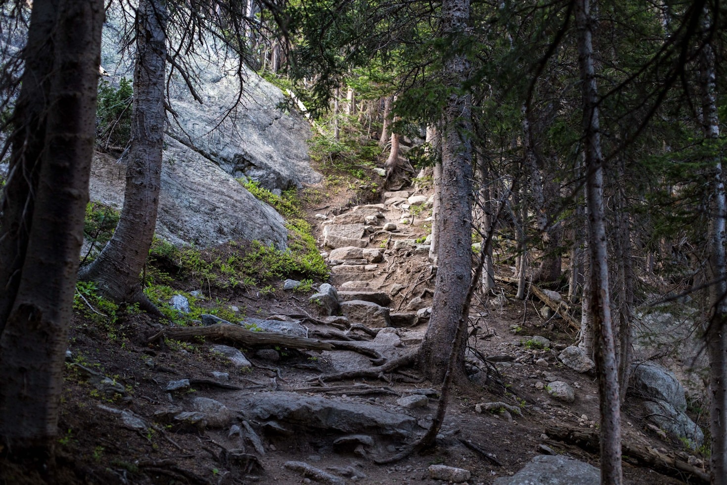Surviving the Outdoors: Tips for All Seasons